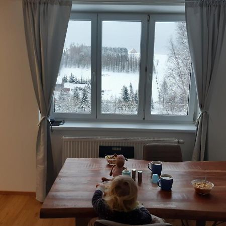 Apartman U Kunstatskeho Mlyna Orlicke Zahori Exterior photo