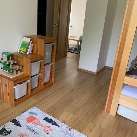 Apartman U Kunstatskeho Mlyna Orlicke Zahori Exterior photo