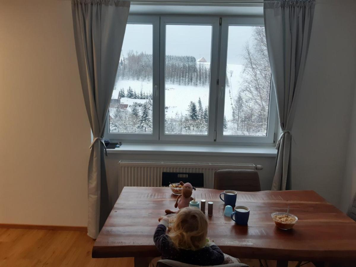 Apartman U Kunstatskeho Mlyna Orlicke Zahori Exterior photo