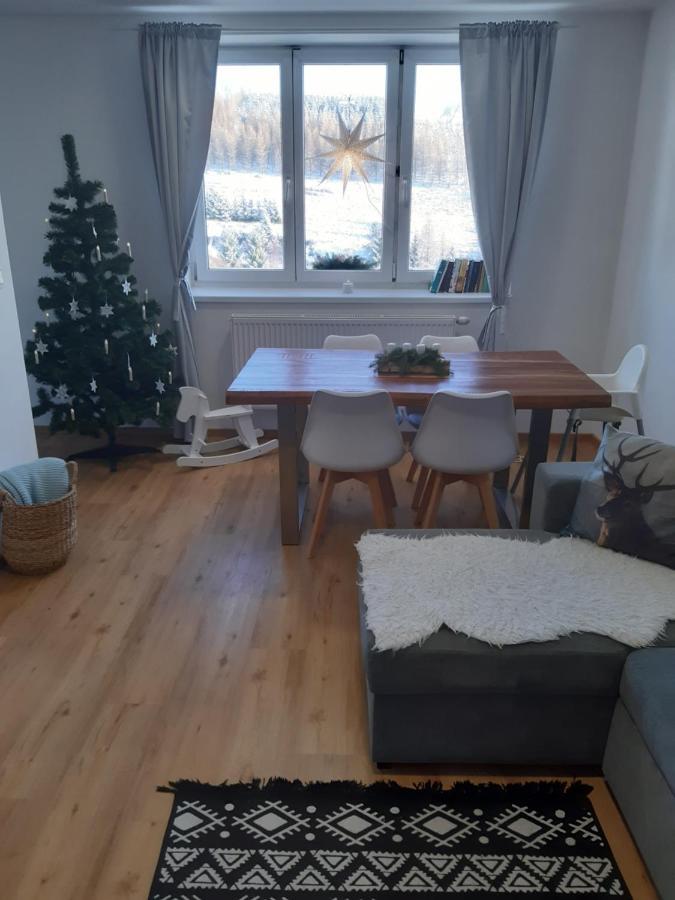 Apartman U Kunstatskeho Mlyna Orlicke Zahori Exterior photo