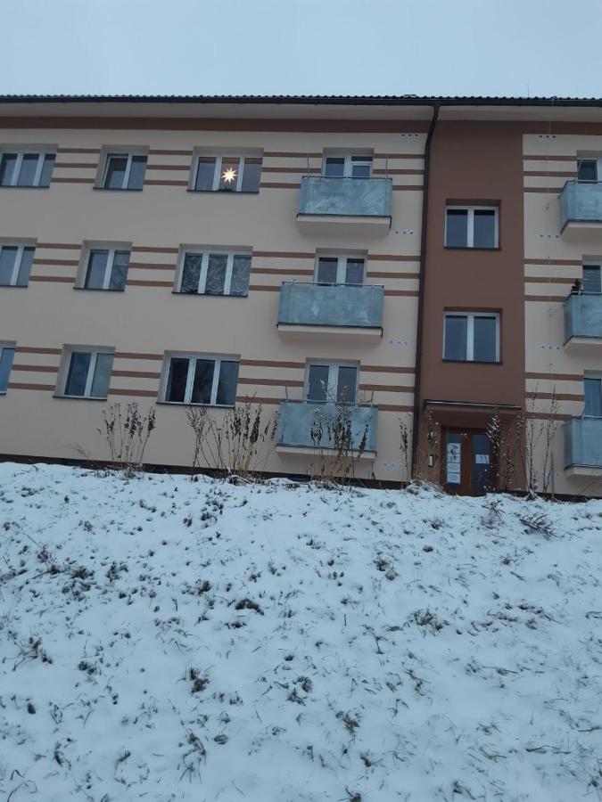 Apartman U Kunstatskeho Mlyna Orlicke Zahori Exterior photo