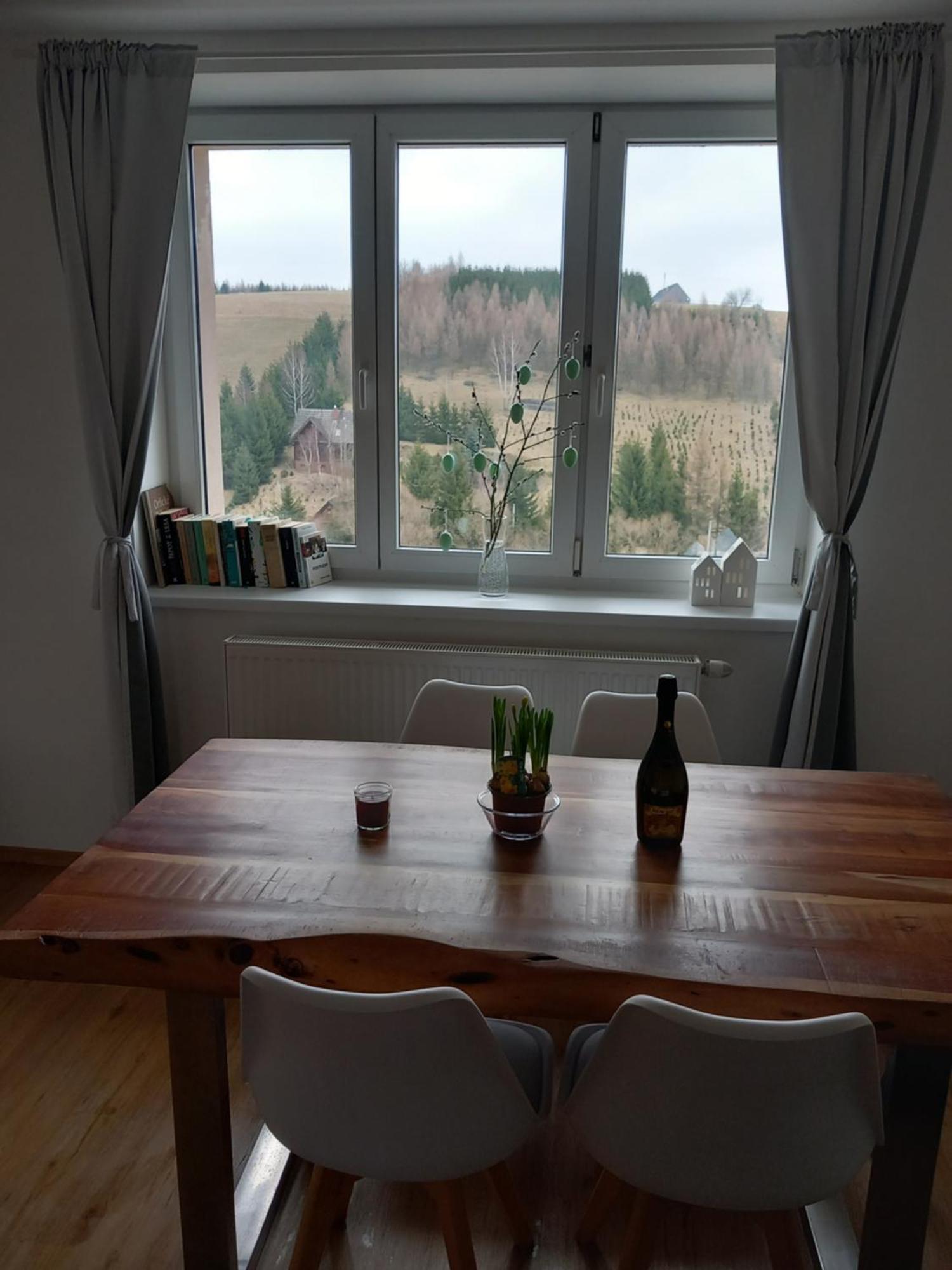 Apartman U Kunstatskeho Mlyna Orlicke Zahori Exterior photo